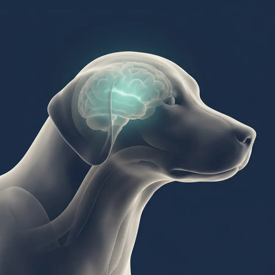 Restoration